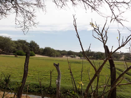 RUTA CRUCE SAN MARTIN DE PORRES - BOSQUE Y COMPLEJO ARQUEOLOGICO EL CAÑONCILLO 12