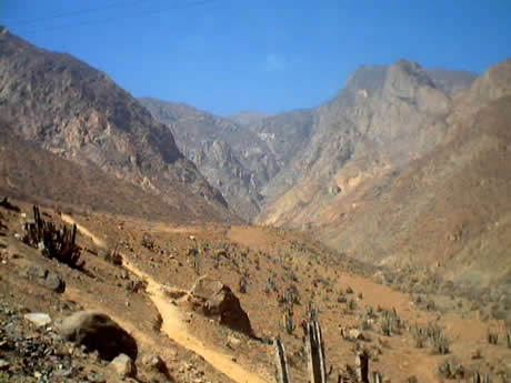 PETROGLIFOS DE CHECTA 05