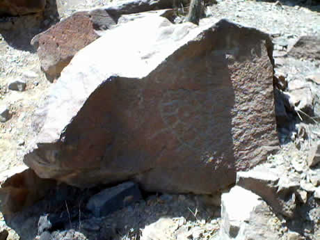 PETROGLIFOS DE CHECTA 10