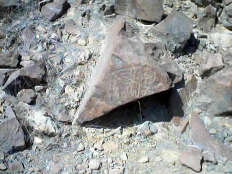 PETROGLIFOS DE CHECTA 11