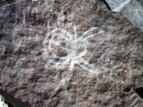PETROGLIFOS DE CHECTA 15