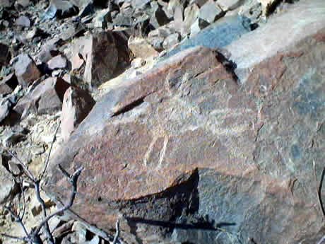 PETROGLIFOS DE CHECTA 17