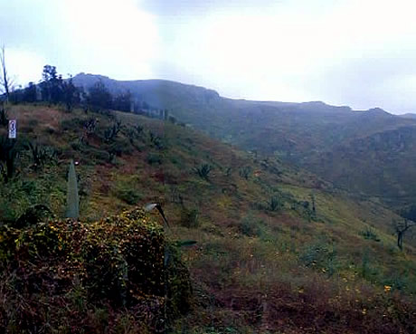 Las Lomas de Lachay