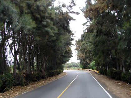 PUEBLO DE VEGUETA 13