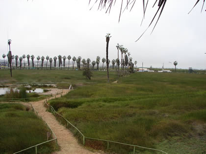 LOS PANTANOS DE VILLA 04