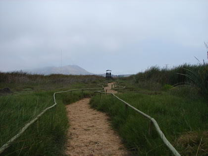 LOS PANTANOS DE VILLA 07