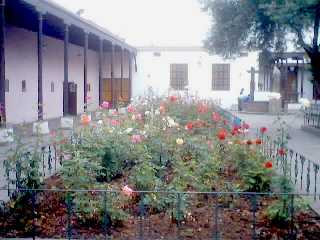 SANTA ROSA DE LIMA I