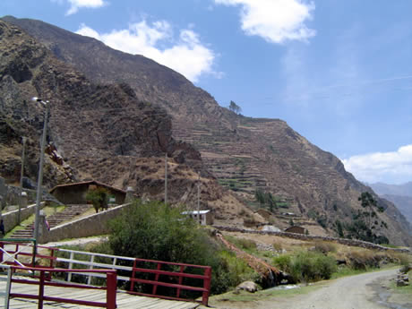 picoy view