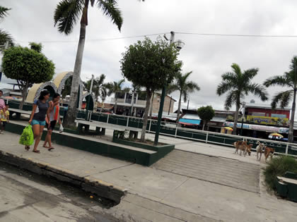 BELLAVISTA NANAY 06