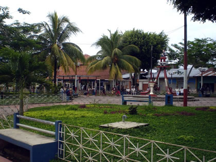 CABALLO COCHA 02
