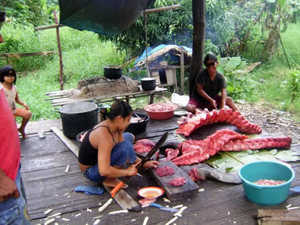CENTRO DE RESCATE AMAZONICO 06