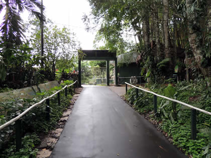 COMPLEJO TURISTICO DE QUISTOCOCHA 03