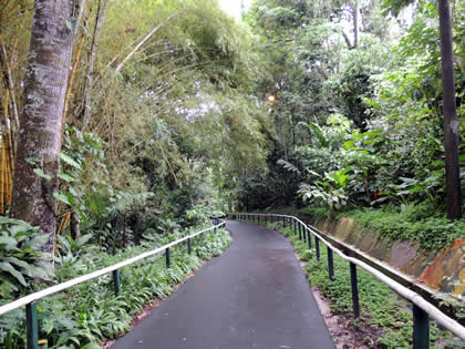 COMPLEJO TURISTICO DE QUISTOCOCHA 04