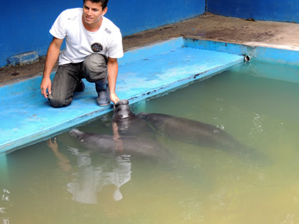 CREA - MANATI AMAZONICO 04