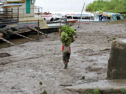 DESEMBARCADERO TIMICURILLO 16
