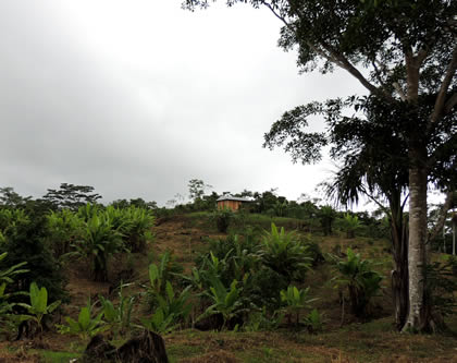 RECURSOS NATURALES MAZAN 05