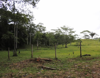 RECURSOS NATURALES MAZAN 08