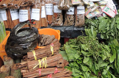 MERCADO DE BELEN 10