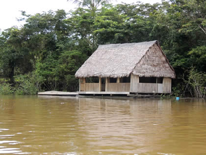 PALAFITOS 06