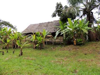 PALAFITOS 09