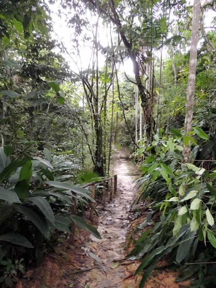 PILPINTUWASI 05