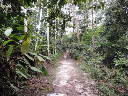 PILPINTUWASI 08