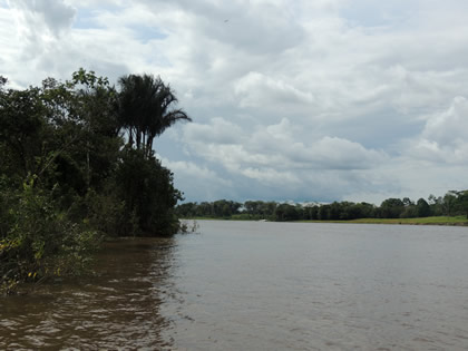 RIO NANAY 03