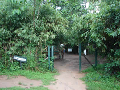 SERPENTARIO TROPIFAUNA 02
