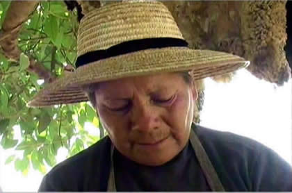 CUY CHACTADO 01
