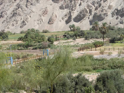 DISTRITO EL ALGARROBAL 07