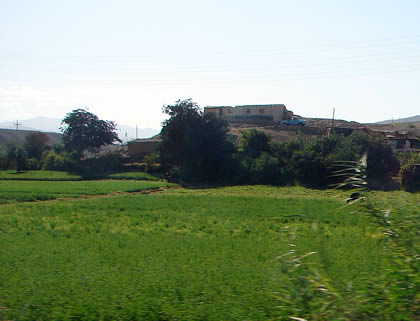VALLE MOQUEGUA 05