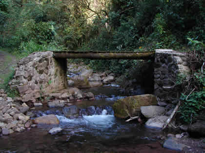 CATARATA DEL RIO TIGRE 08