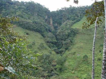LA CATARATA DELFIN 02