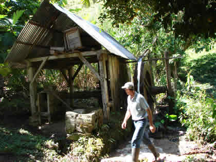 EL TRAPICHE DE LA FAMILIA SCHULER 09