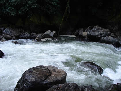 PARQUE NACIONAL YANACHAGA CHEMILLEN 32