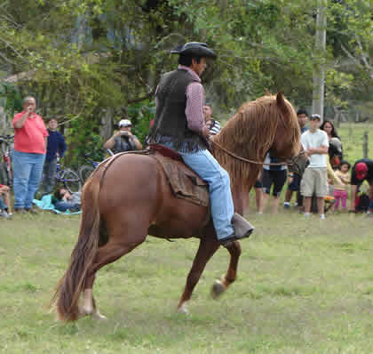 TORNEO DE CINTAS A CABALLO 02