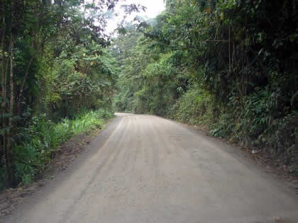 RUTA OXAPAMPA POZUZO 01