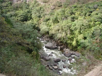 RUTA OXAPAMPA POZUZO 08