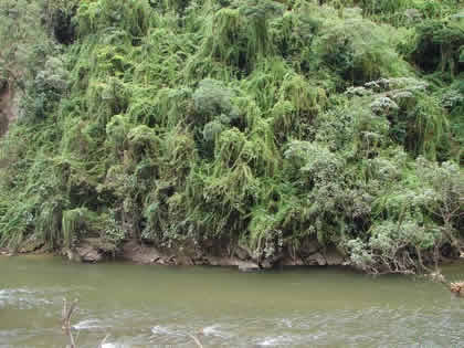 RUTA OXAPAMPA POZUZO 13