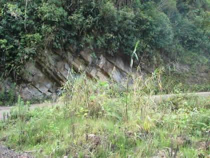 RUTA OXAPAMPA VILLA RICA 10