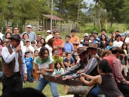 TURISTAS CORTANDO TRONCOS CON TROZADORA 05