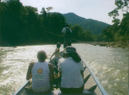 PARQUE NACIONAL YANACHAGA CHEMILLEN 04