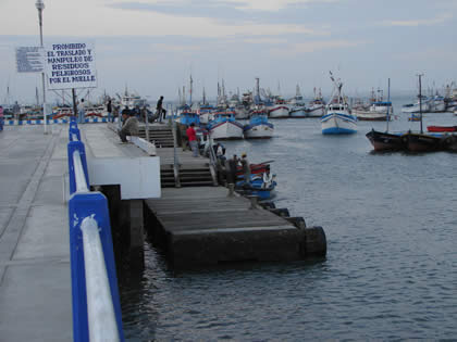 MUELLE FISCAL DE PAITA 05