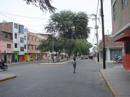 OVALO BOLOGNESI DE LA CIUDAD DE PIURA 04