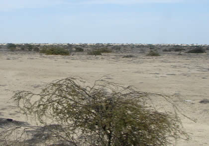 RUTA PIURA SECHURA 04