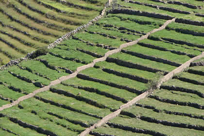 ANDENES QALAQALA TARATA 05