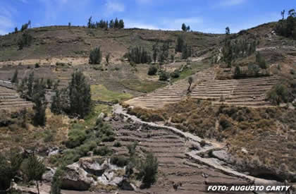 CAMINO INCA TARATA SANTA MARIA 06