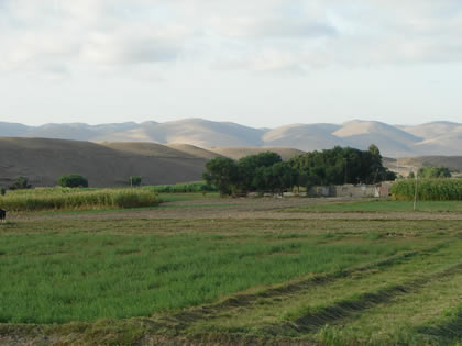 DISTRITO INCLAN 02