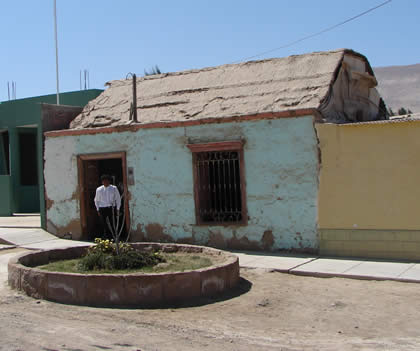 PACHIA 04