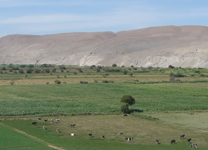 VALLE LOCUMBA 09